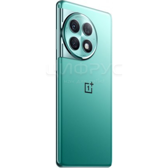 スマートフォン本体 OnePlus Ace 2 Pro 512GB 16GB Технические характеристики: Oneplus Ace 2 Pro 512Gb+16Gb 5G Green
