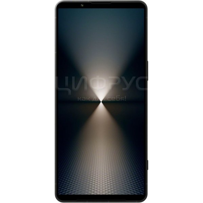 Купить Sony Xperia 1 VI (XQ-EC72) 256Gb+12Gb Dual 5G Black в Твери