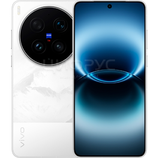 Купить Vivo X300 Ultra 12/256Gb Dual 5G Silver (Серебряный) в