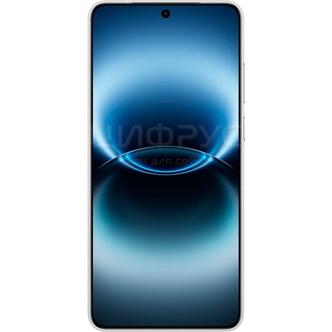 Купить Vivo X300 Ultra 12/256Gb Dual 5G Silver (Серебряный) в