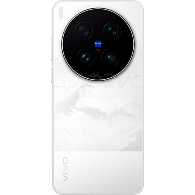 Купить Vivo X300 Ultra 12/256Gb Dual 5G Silver (Серебряный) в