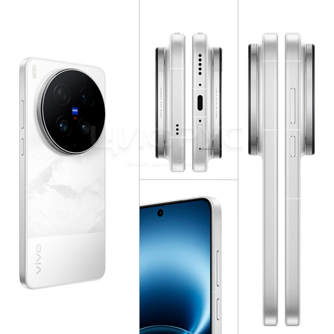 Купить Vivo X300 Ultra 12/256Gb Dual 5G Silver (Серебряный) в
