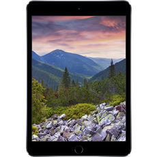 Apple iPad Mini_3 16Gb Wi-Fi Space Grey
