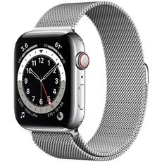 Apple Watch Series 6 44mm Stainless Steel Case with Milanese Silver