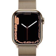 Apple Watch Series 7 45mm Stainless Steel Case with Milanese Gold