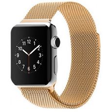      Apple Watch (42 mm) gold