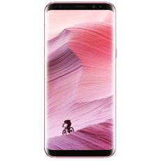 Samsung Galaxy S8 SM-G950F/DS 64Gb Pink ()