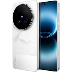 Купить Vivo X300 Ultra 12/256Gb Dual 5G Silver (Серебряный) в