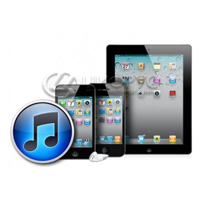 Активация iPhone / iPad - Цифрус