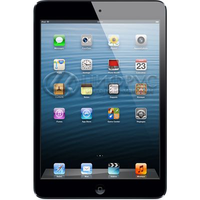 Apple iPad mini 64Gb Wi-Fi Black - 