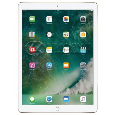 Apple iPad Pro 12.9 (2017) 512Gb Wi-Fi Gold - 