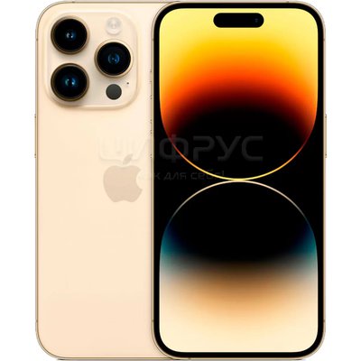 Apple iPhone 14 Pro 256Gb Gold (A2889, JP) - Цифрус