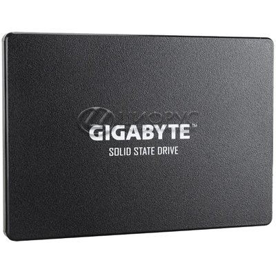 GIGABYTE SSD 256GB (GP-GSTFS31256GTND) - 