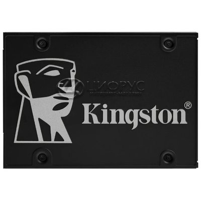 Kingston SKC600/1024G (РСТ) - Цифрус