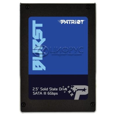 Patriot Memory PBU120GS25SSDR - 