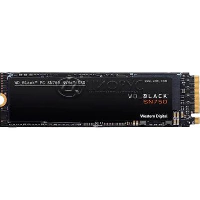 Western Digital WD Black SN750 250Gb (WDS250G3X0C) () - 