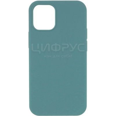 Задняя накладка для iPhone 13 Pro Max зеленое море Apple - Цифрус