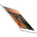 Apple iPad (2017) 32Gb Wi-Fi + Cellular Silver - 
