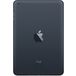 Apple iPad mini 16Gb Wi-Fi Black - 