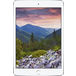 Apple iPad Mini_3 64Gb Wi-Fi Silver White - 