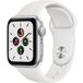 Apple Watch SE GPS 44mm Aluminum Case with Sport Band Silver/Blue (LL) - Цифрус
