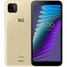 BQ 5765L Clever 3/16Gb Gold () - 