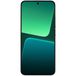 Xiaomi 13 256Gb+12Gb Dual 5G Flora Green (Global) () - 