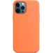    iPhone 12 Pro Max  Silicone Case - 
